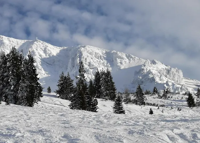 Olympia Axams 公寓 因斯布鲁克