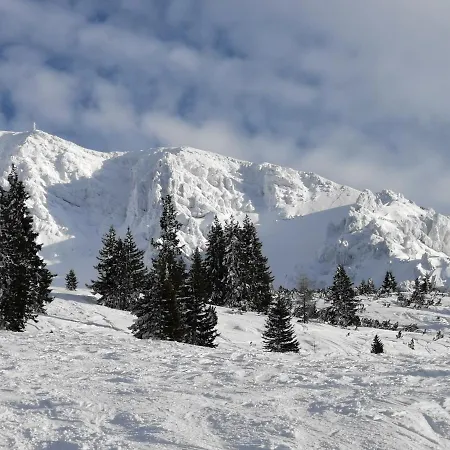 Olympia Axams Apartment Innsbruck